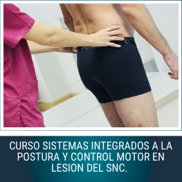 Curso Sistemas Integrados a la Postura y Control Motor en Lesiones del SNC