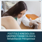 Postítulo Kinesiología Uroproctoginecológica. Rehabilitación Pelviperineal